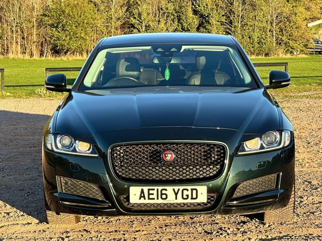 JAGUAR