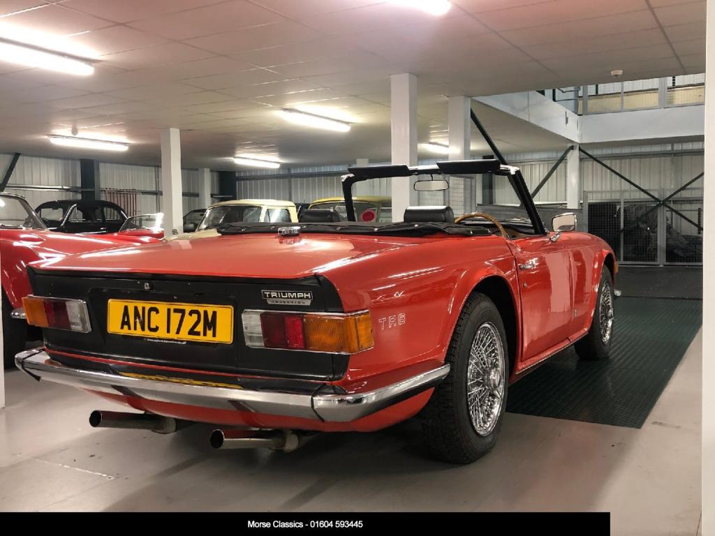 TRIUMPH TR6