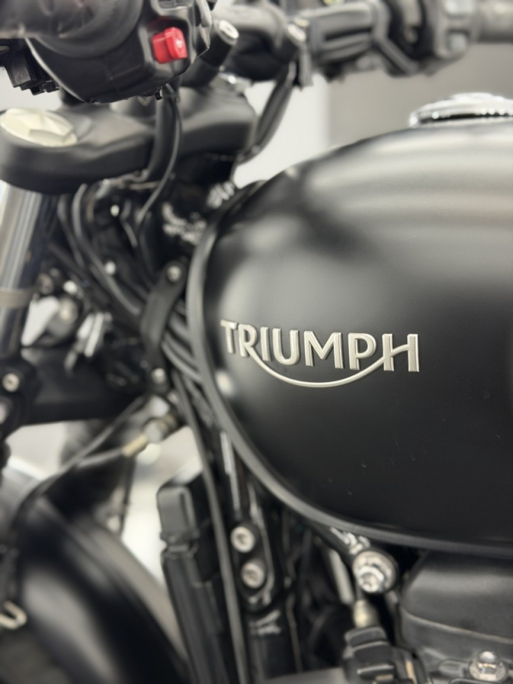 TRIUMPH Bobber